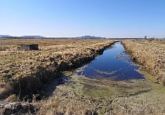 211_p20_IMG_20220313_112716