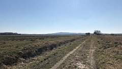 240_iP_220313_IMG_4599