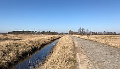 296_iP_220313_IMG_4614