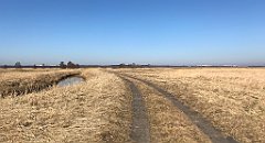 309_iP_220313_IMG_4617