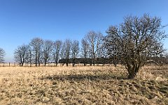 311_iP_220313_IMG_4619