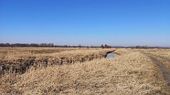 321_p20_IMG_20220313_125510