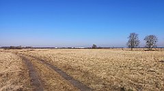 322_p20_IMG_20220313_125515