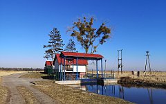 411_p20_IMG_20220313_134241