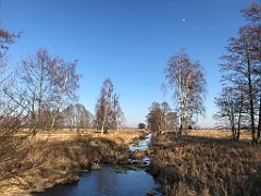 496_iP_220313_IMG_4675