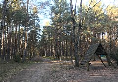 506_iP_220313_IMG_4688