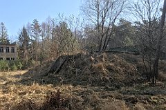 024_iP_220320_IMG_4706