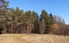 056_p20_IMG_20220320_095841