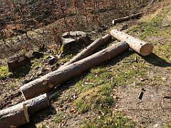 059_iP_220320_IMG_4723