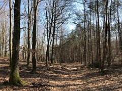 078_iP_220320_IMG_4736