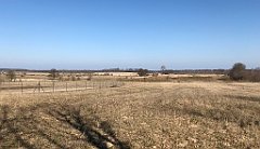 117_iP_220320_IMG_4741