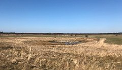 271_iP_220320_IMG_4774