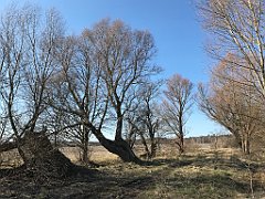 309_iP_220320_IMG_4780