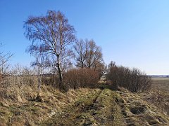 316_p20_IMG_20220320_142431