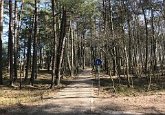 230_iP_220325_IMG_4842