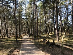 234_iP_220325_IMG_4846