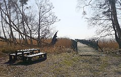 249_p20_IMG_20220325_111803