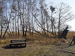 250_p20_IMG_20220325_111813