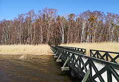 255_p20_IMG_20220325_112049