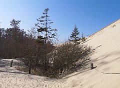 298_p20_IMG_20220325_121215