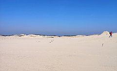 315_p20_IMG_20220325_121745