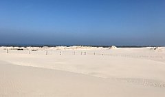 330_iP_220325_IMG_4858