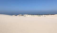 375_iP_220325_IMG_4885