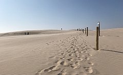 381_iP_220325_IMG_4895