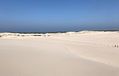 384_iP_220325_IMG_4898