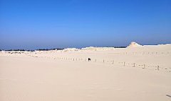 406_p20_IMG_20220325_124045