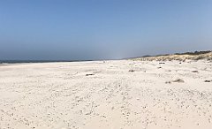 469_iP_220325_IMG_4918