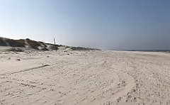 470_iP_220325_IMG_4919