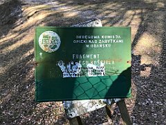 540_iP_220325_IMG_4939