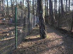 546_iP_220325_IMG_4944