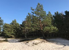 553_iP_220325_IMG_4955