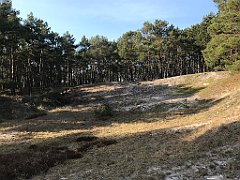 557_iP_220325_IMG_4962