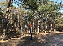 560_iP_220325_IMG_4964