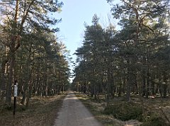 009_iP_220412_IMG_4968