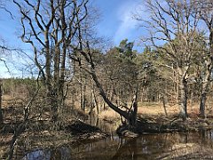 014_iP_220416_IMG_5076