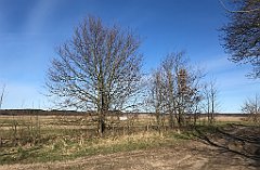 035_iP_220416_IMG_5091