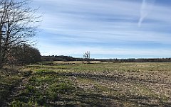 037_iP_220416_IMG_5094