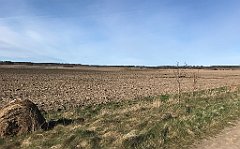 063_iP_220416_IMG_5102