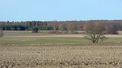 068_FZ72_P1070819