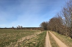 080_iP_220416_IMG_5110