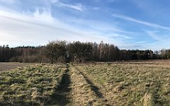 143_iP_220416_IMG_5125