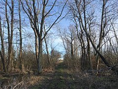 147_iP_220416_IMG_5130