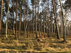 183_iP_220416_IMG_5146