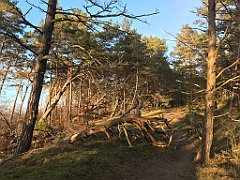 188_iP_220416_IMG_5152