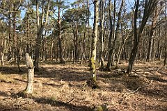 021_iP_220421_IMG_5167