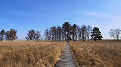 040_p20_IMG_20220421_090932